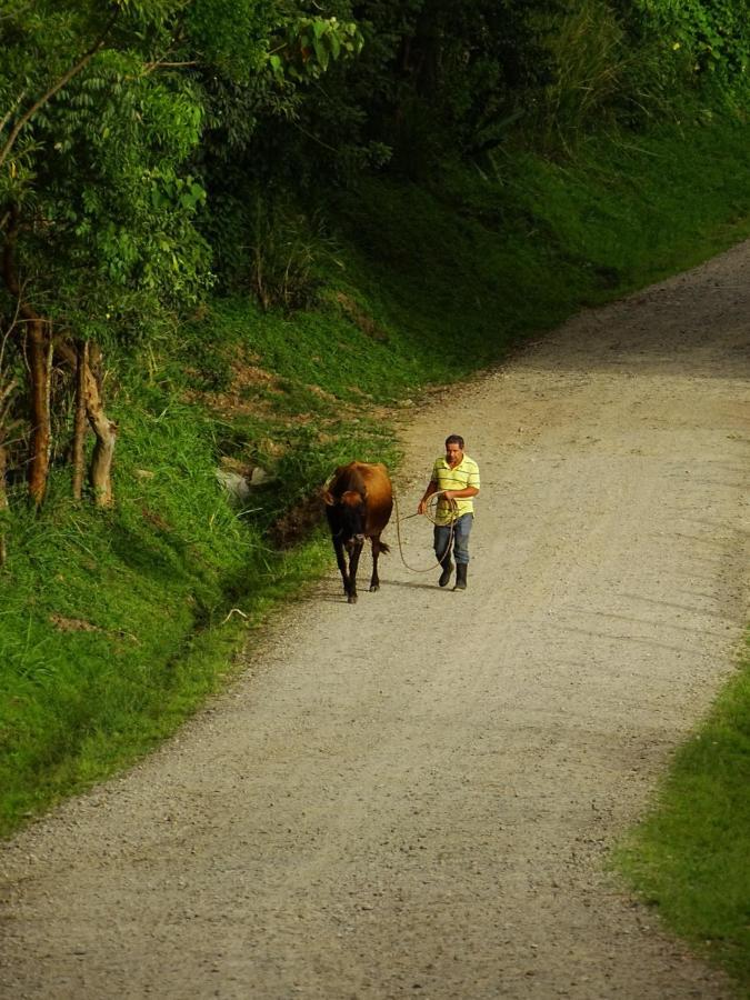 Miztli Lodge & Adventure Monteverde Eksteriør bilde