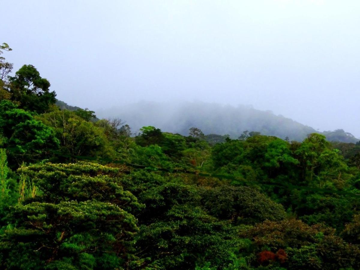 Miztli Lodge & Adventure Monteverde Eksteriør bilde