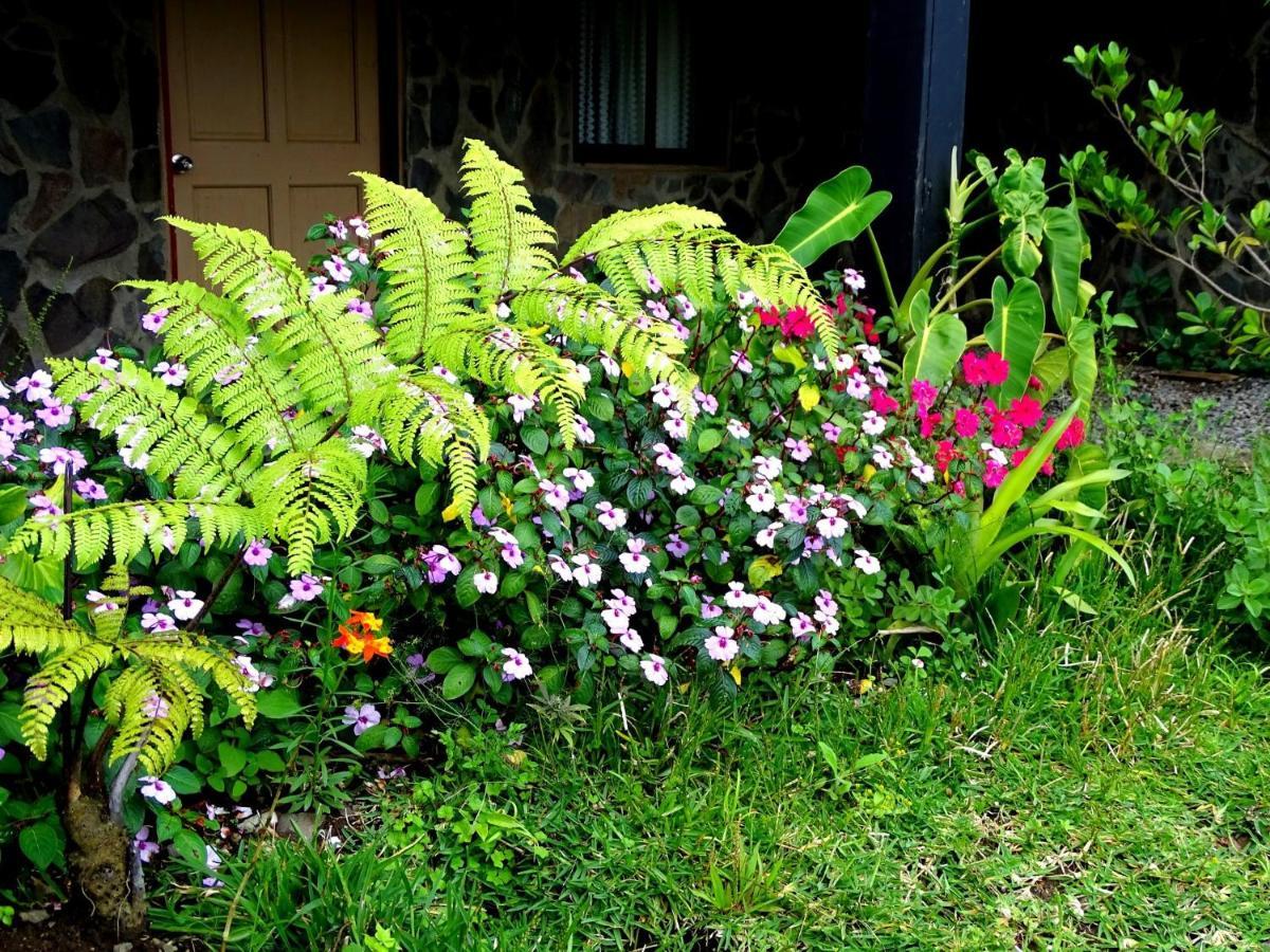 Miztli Lodge & Adventure Monteverde Eksteriør bilde